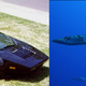 Illustration for article titled Ten cars that look like fish
